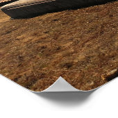 Tranquil Lake Dock Poster (Ecke)