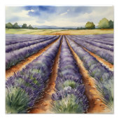 : Tranquil Lavender Field Fotodruck (Vorne)