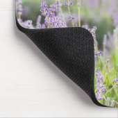 Tranquil Lavender Field Mousepad (Ecke)