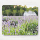 Tranquil Lavender Field Mousepad (Vorne)