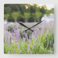 Tranquil Lavender Field