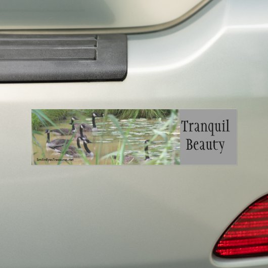 Tranquil Schönheits-Inspirational Autoaufkleber (Auf Auto)