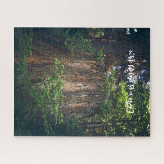 Tranquil summer forest puzzle (Horizontal)