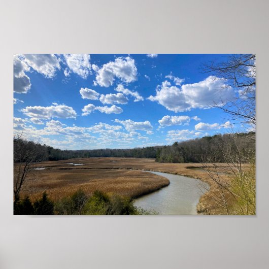Tranquil Swampy Wetland Yorktown Virginia Poster (Vorne)