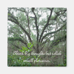 Tranquil Tree Magnet