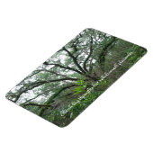 Tranquil Tree Magnet (Linke Seite)