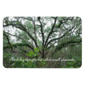 Tranquil Tree Magnet (Horizontal)