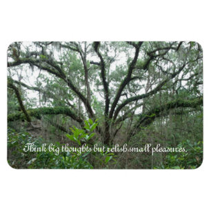 Tranquil Tree Magnet