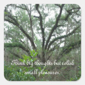 Tranquil Tree Stickers (Vorderseite)
