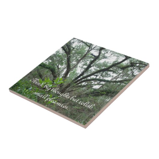 Tranquil Tree Tile Fliese (Seite)