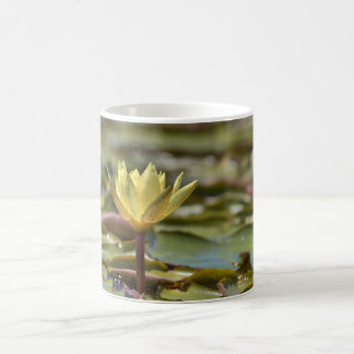 Tranquil Water Lily Coffee Mug – Nature Photograph Kaffeetasse