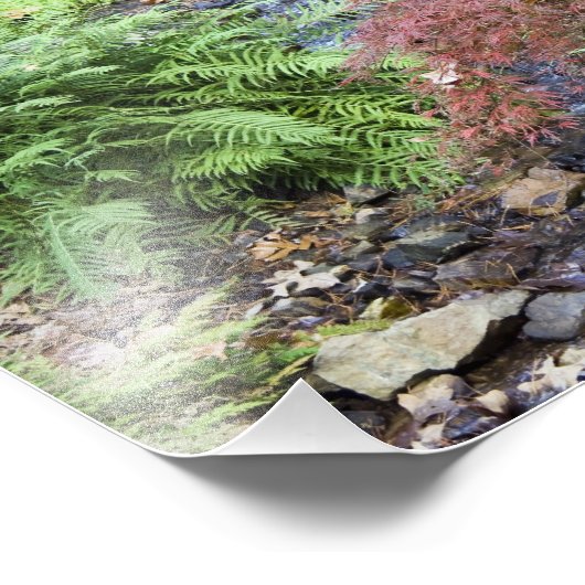 Tranquile Stream Fotodruck (Ecke)