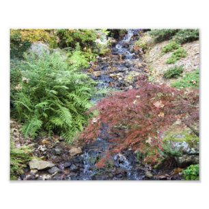 Tranquile Stream Fotodruck