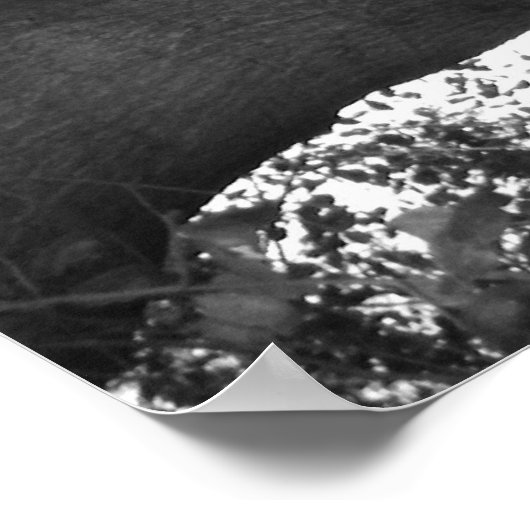 Tranquility Poster (Ecke)