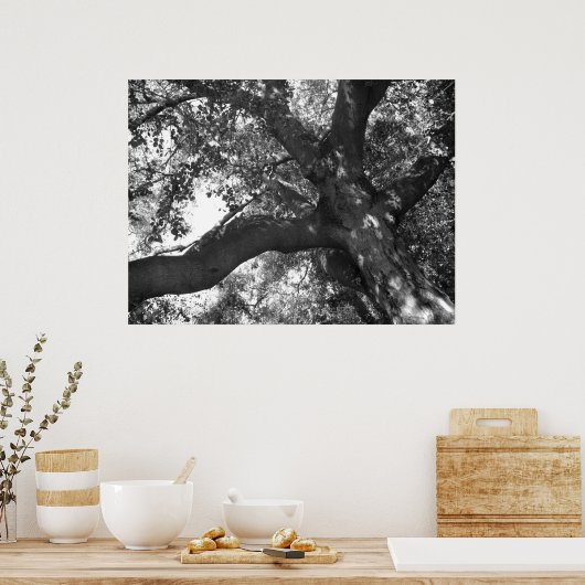 Tranquility Poster (Küche)