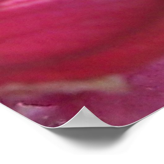 Tranquilo Poster (Ecke)