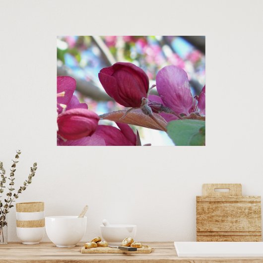 Tranquilo Poster (Küche)