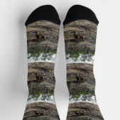 Tranquisiter Moment: Australisches Kangaroo in Bil Socken (Oben)