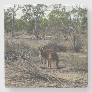 Tranquisiter Moment: Australisches Kangaroo in Bil Steinuntersetzer