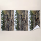 Tranquisiter Moment: Australisches Kangaroo in Bil Strandtuch (Vorderseite)