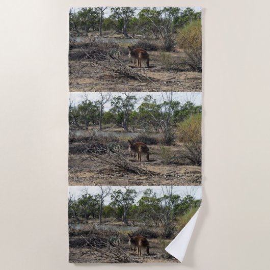 Tranquisiter Moment: Australisches Kangaroo in Bil Strandtuch (Vorderseite)