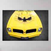 Trans Am Poster (Vorne)