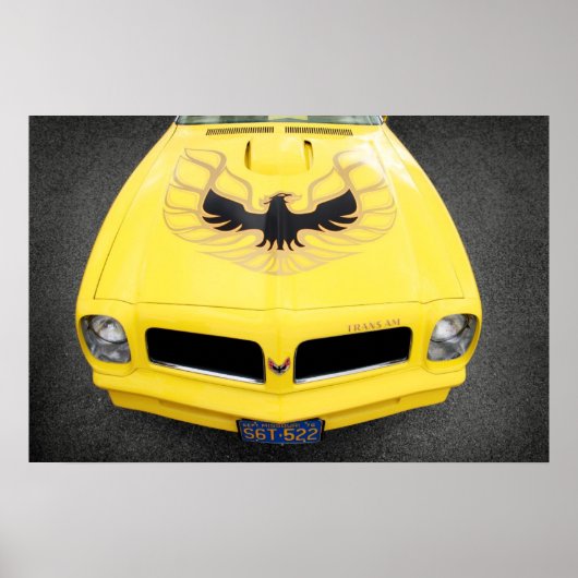 Trans Am Poster (Vorne)