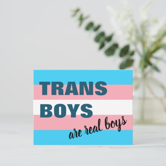 Trans Boys sind echte Boys Transgender Flag Postkarte (Stehend Vorderseite)