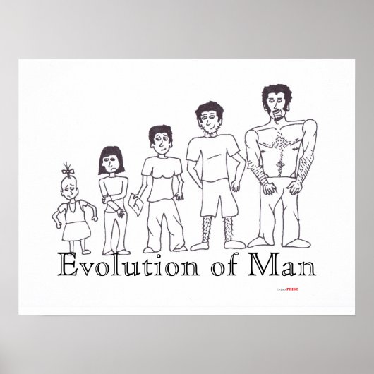 Trans Evolution Poster (Vorne)