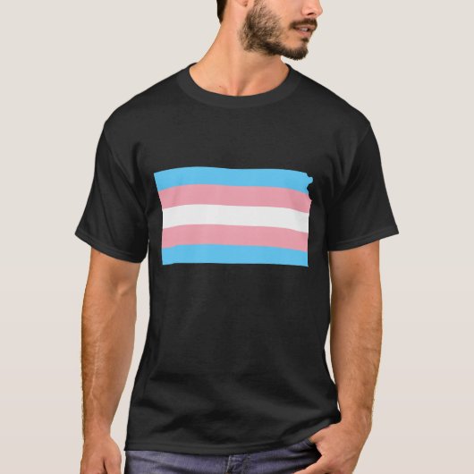 Trans Flag Kansas LGBT Pride Support retro T-Shirt (Vorderseite)