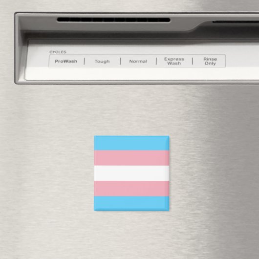 Trans Flag Magnet (In Situ (Geschirrspüler))