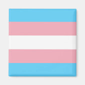 Trans Flag Magnet (Vorne)