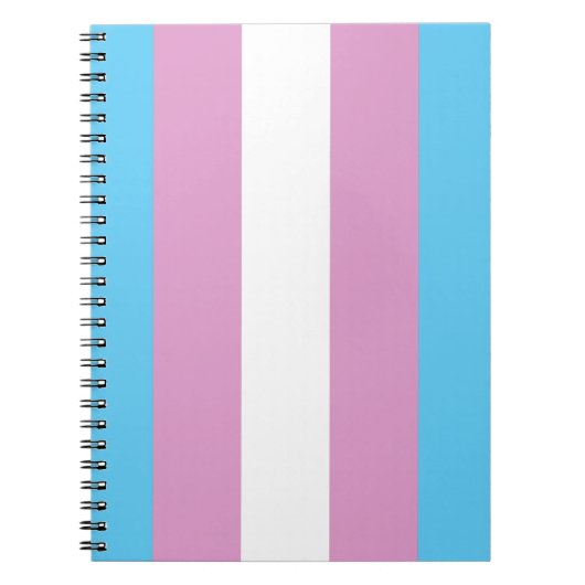 TRANS FLAG ORIGINAL -.pnng Notizblock (Vorderseite)