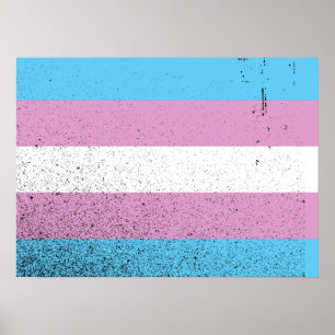 TRANS FLAG ORIGINAL -.pnng Poster