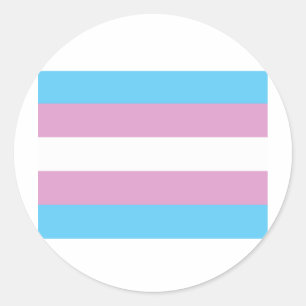 TRANS FLAG ORIGINAL RUNDER AUFKLEBER