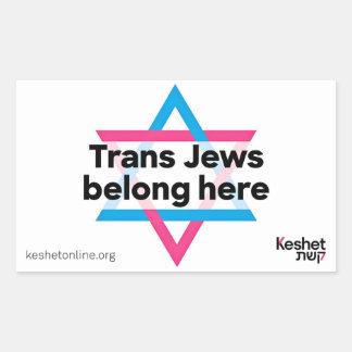 Trans-Juden sind hier willkommen Aufkleber