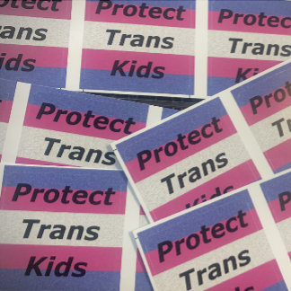 Trans Kids Sticker schützen