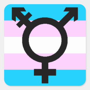 Trans-Pride-Aufkleber - gerundet mit Symbol Quadratischer Aufkleber