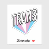 Trans Pride Burst Trans Aufkleber (Blatt)