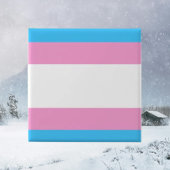 Trans Pride Button Abzeichen