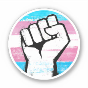 Trans Pride Circle Print Aufkleber