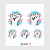 Trans Pride Circle Print Aufkleber (Blatt)