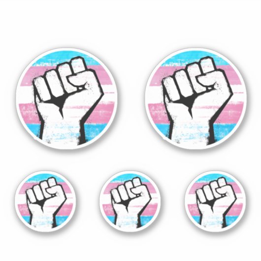 Trans Pride Circle Print Aufkleber (Vorderseite)