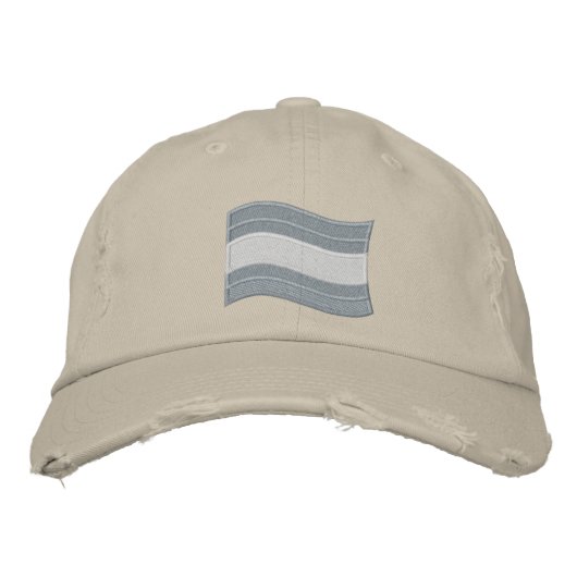 Trans Pride Flag bestickte Baseballkappe (Vorderseite)