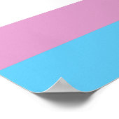 Trans Pride Flag Poster (Ecke)
