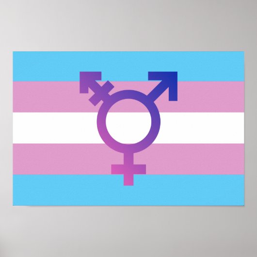 Trans Pride Flag Poster (Vorne)
