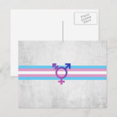 Trans Pride-Flagge Postkarte (Vorne/Hinten)