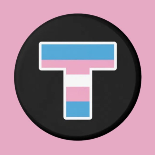 Trans Pride Hauptstadt T Magnet
