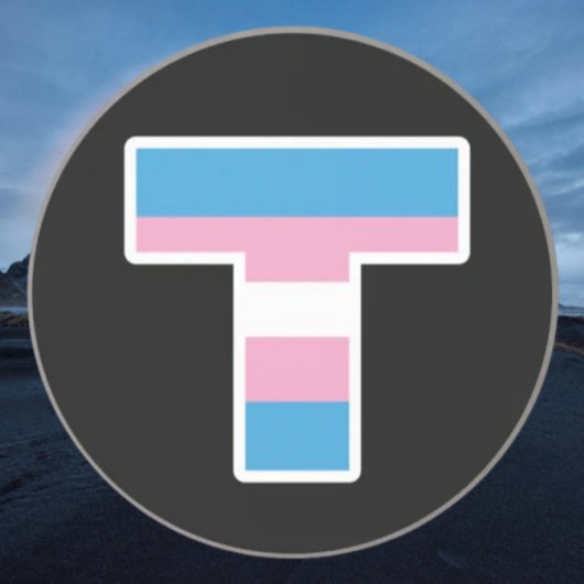 Trans Pride Hauptstadt T Sandstone Untersetzer
