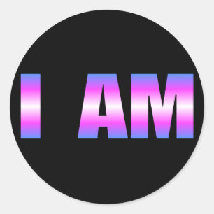 Trans Pride I Runder Aufkleber